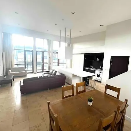 Spacious Duplex Penthouse In South Apartmán Dublin